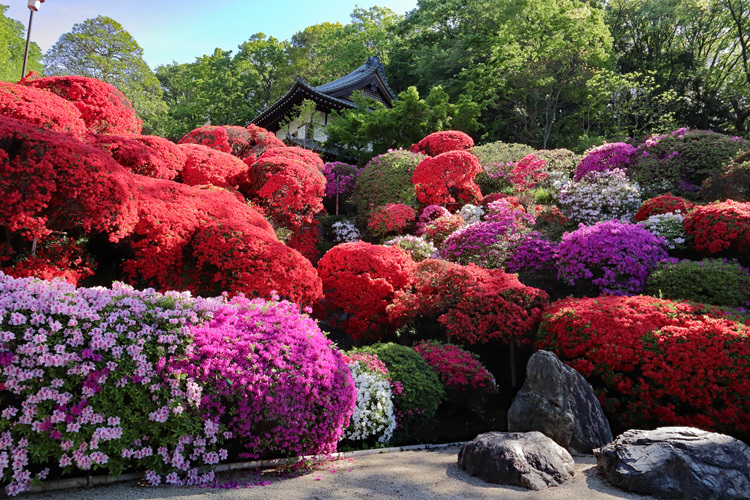 190428_Togakuin-Rock-Garden.jpg