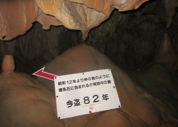 龍河洞　冒険コース