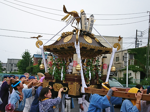 令和元年 神奈川県二宮町 元町 八坂神社例大祭 神輿渡御２