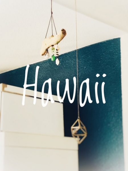 hawaii_52919 (8)