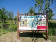 自然学習園の池