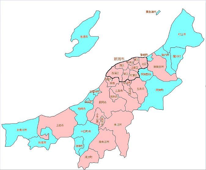 新潟県参議院選挙２０１９
