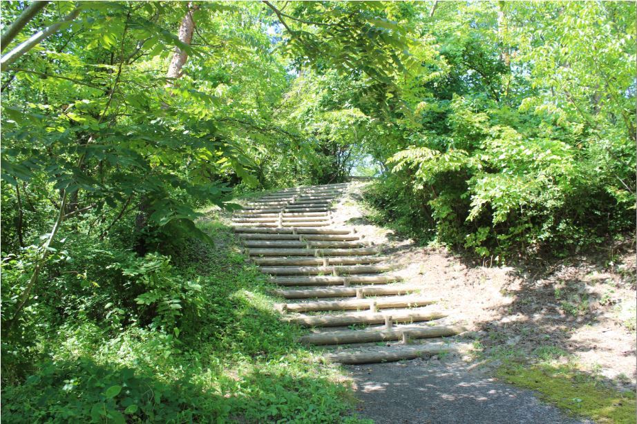 紫雲寺記念公園散策コース-１